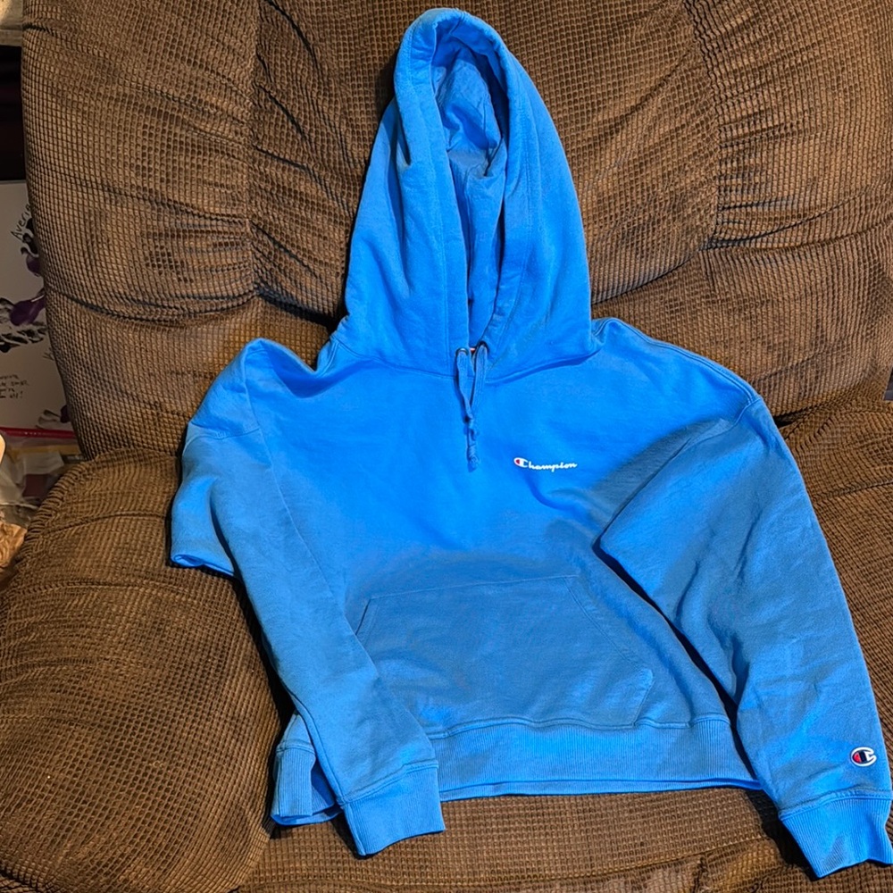 Champion Blue Hoodie